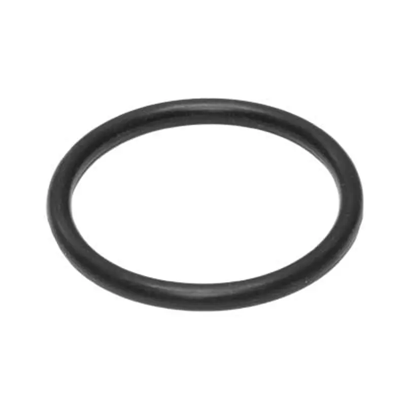 Pirate Amv Ii O-Ring Seal For Inspection Plate Mounting 1