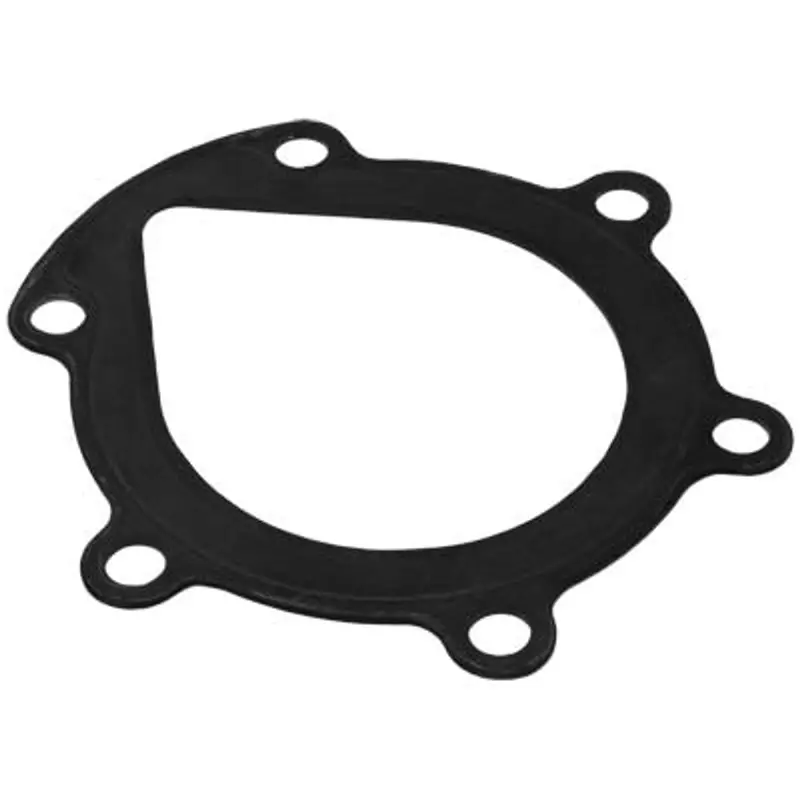 Pirate Amv Ii Rubber Gasket For Sealing Valve Housing 1