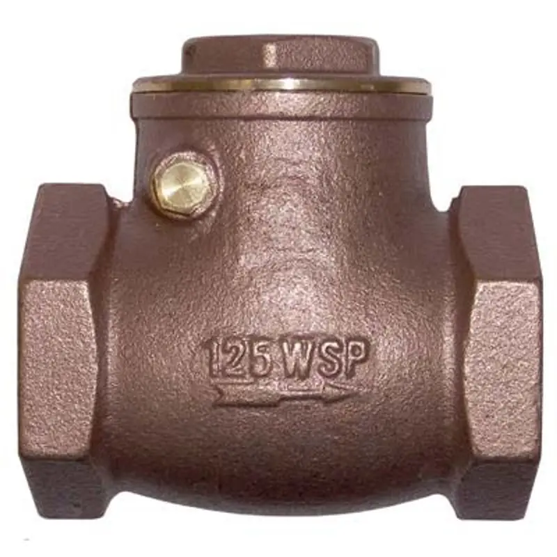 Pirate Brand 1" Swing-Type Check Valve For High-Pressure Abrasive Blasting 1