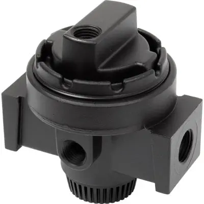 Pirate Brand 111-3450 Pilot-Operated Air Regulator, 1/2-Inch Npt 1