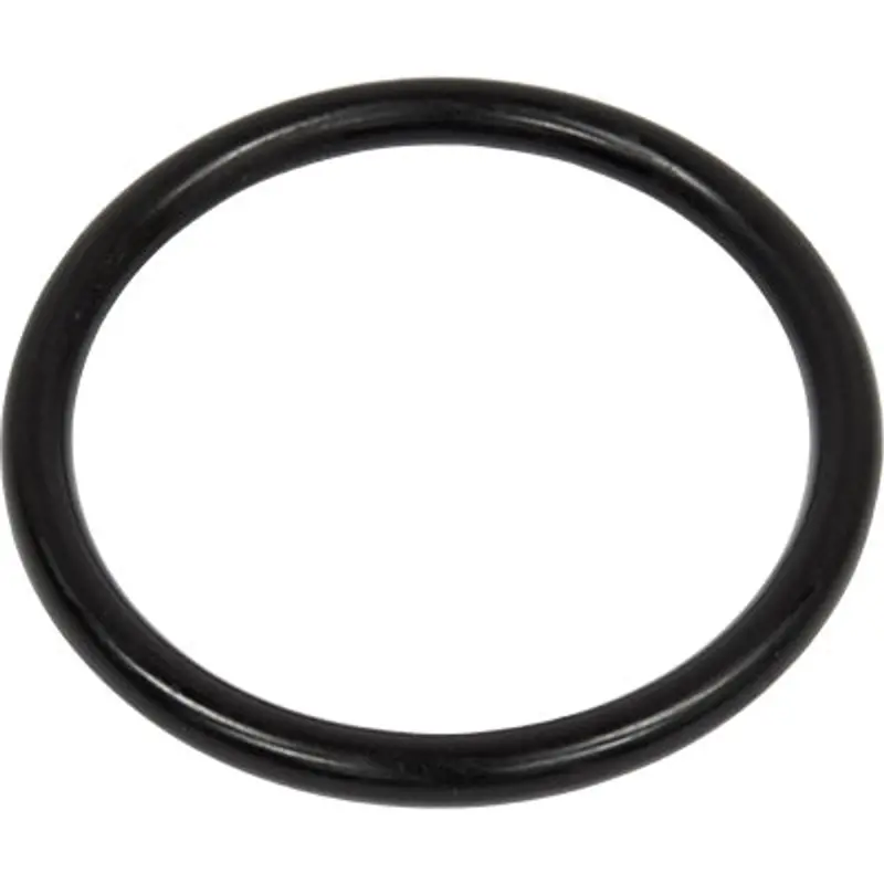 Pirate Brand Big-Bore™ Apv Metering Valve O-Ring Insert 1