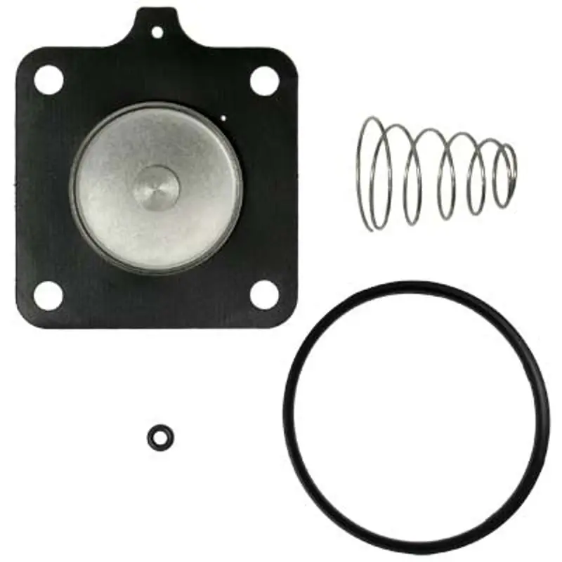 Pirate Brand Diaphragm-Side Repair Kit For 1-Inch Model 122-065 Valve 1