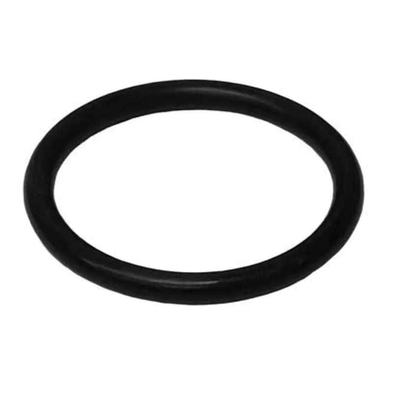 Pirate Brand Inspection Plate Replacement O-Ring 1