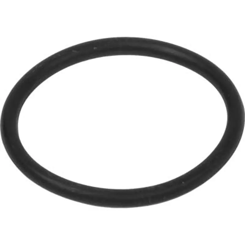 Pirate Brand Mpv Ii Replacement O-Rings (Pack Of 2) 1