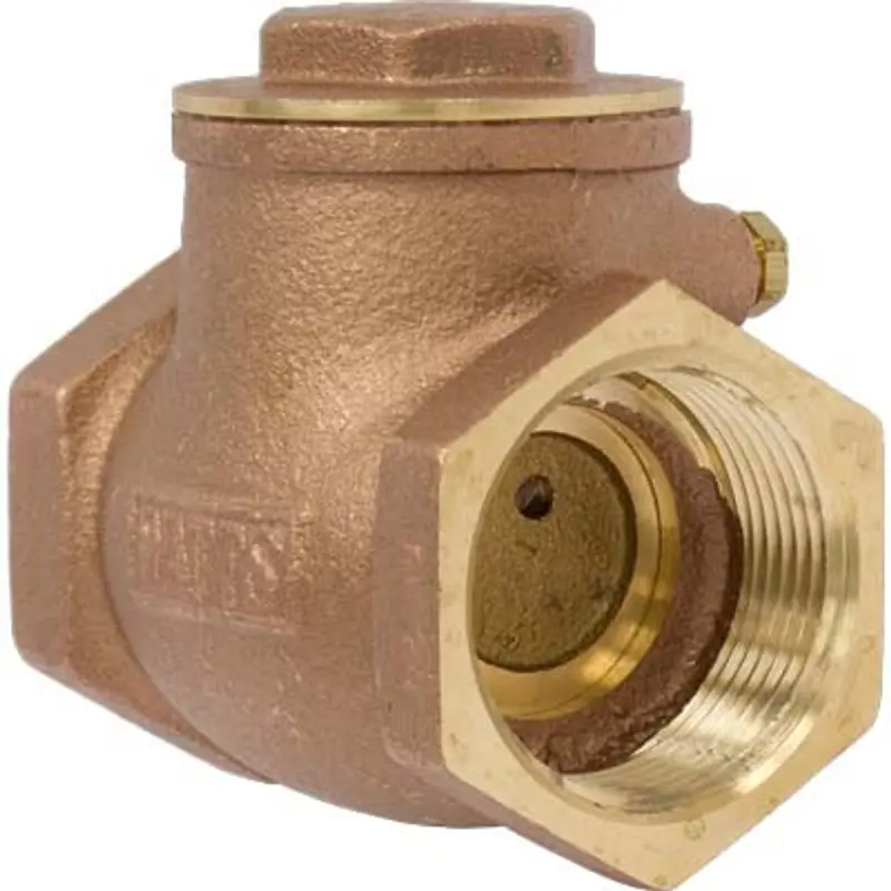 Pirate Brand Swing Check Valve – Schmidt-Style, 1-1/4 Inch, With 5/32 Inch Differential Equalizer Port 1