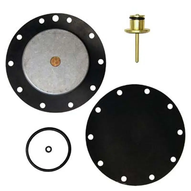 Pirate Empire 517-631 Regulator Repair Kit – Maintenance Set For 1" Pipe Installations 1