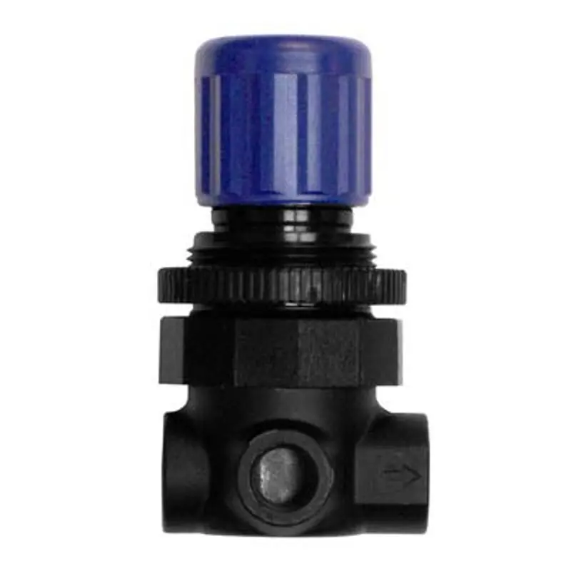 Pirate Empire Panel-Mount Pressure Regulator – 1/4" Inlet, 1" Pipe String Compatible 1