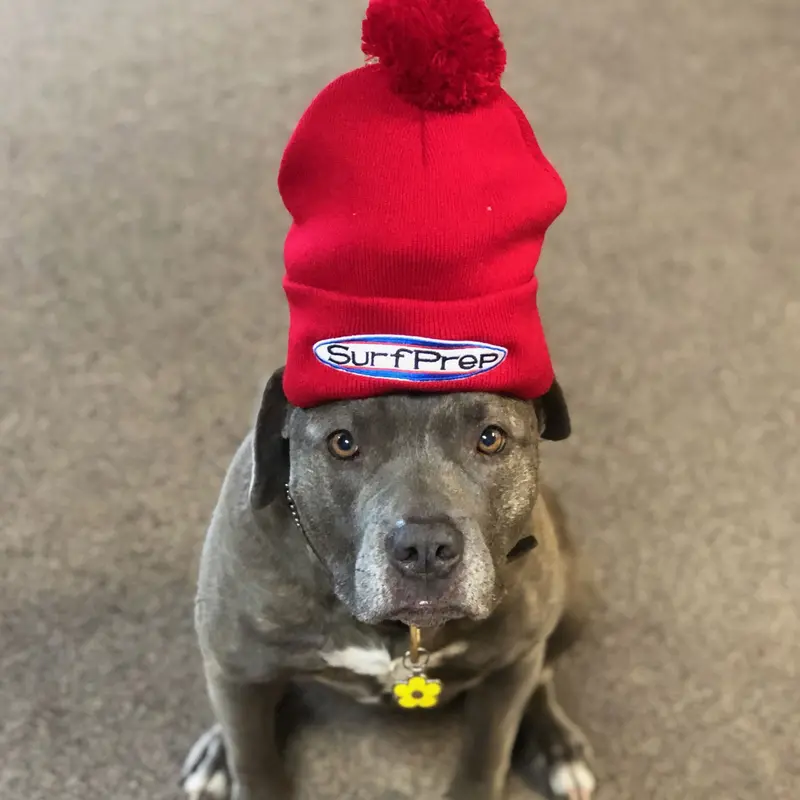 Surfprep Knit Beanie For Painters 1