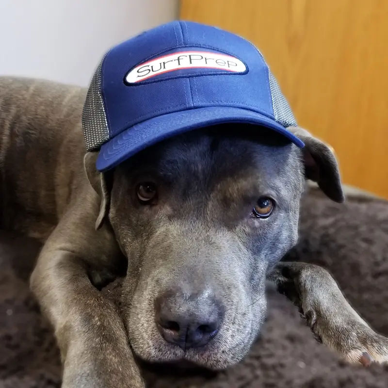 Surfprep Trucker-Style Work Hat 1
