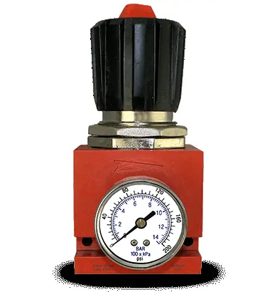 Tsunami Regulator With Integrated Pressure Gauge
