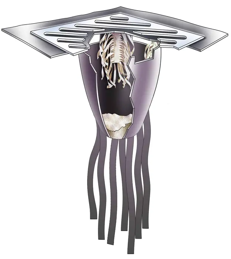 Ultratech Ultra-Drain Guard Ultimate Performance Model 1