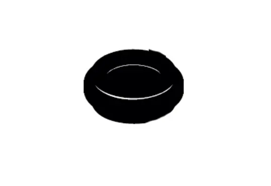 Wagner 9970153 Replacement Sealing Ring For Fluid Systems 1